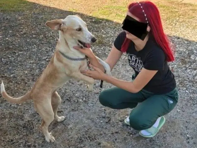 Vuoi adottare un cane a Firenze?
