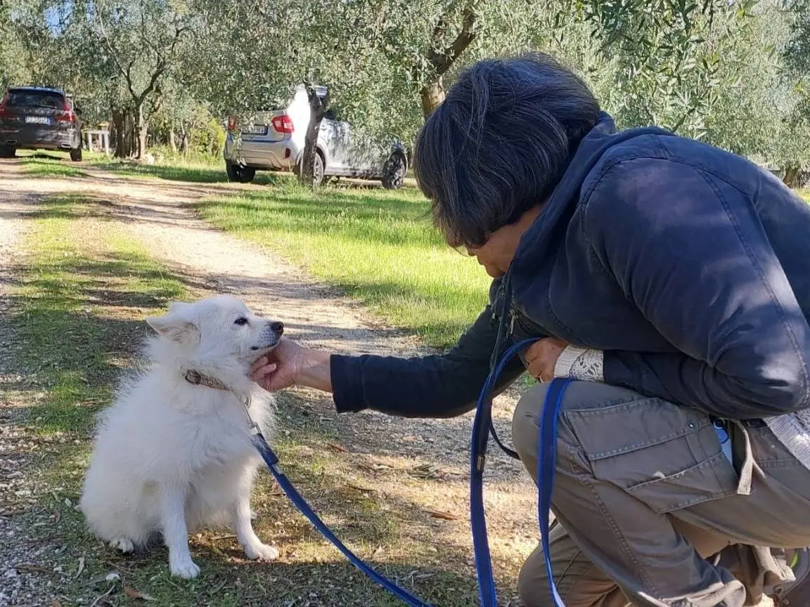 Adotta il cane Ares a Bari