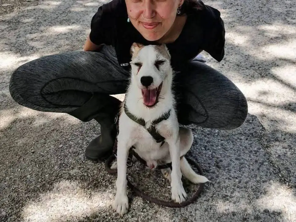 Vuoi adottare un cane a Viterbo?