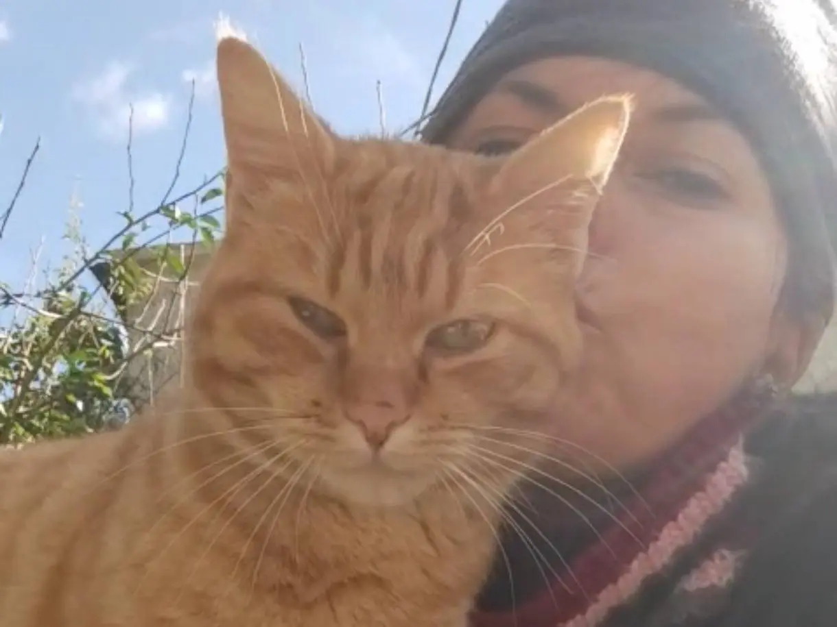Adotta un gatto, maschio, 2 anni, Taranto
