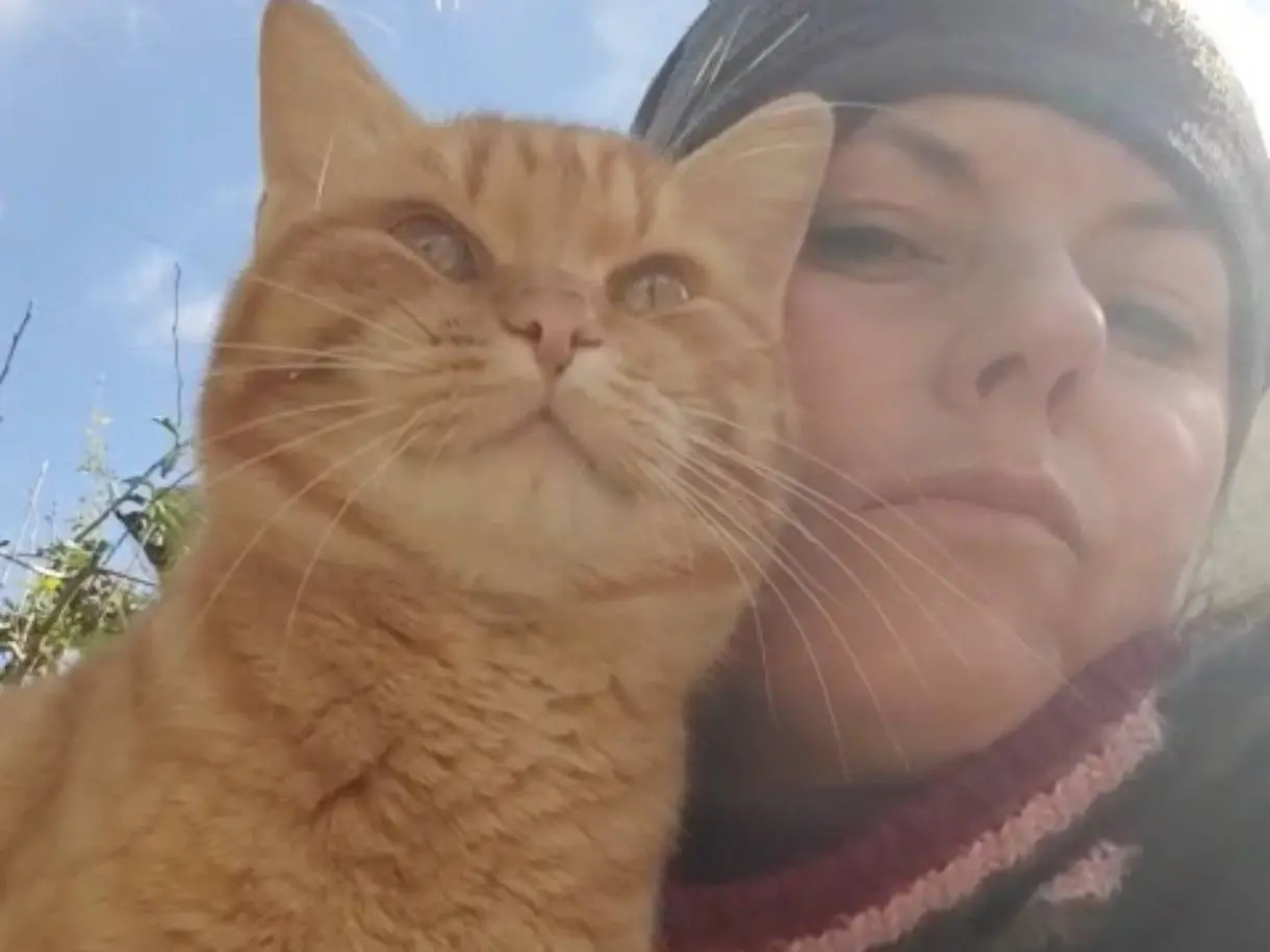 Adotta un gatto, taglia non valida, maschio, Taranto