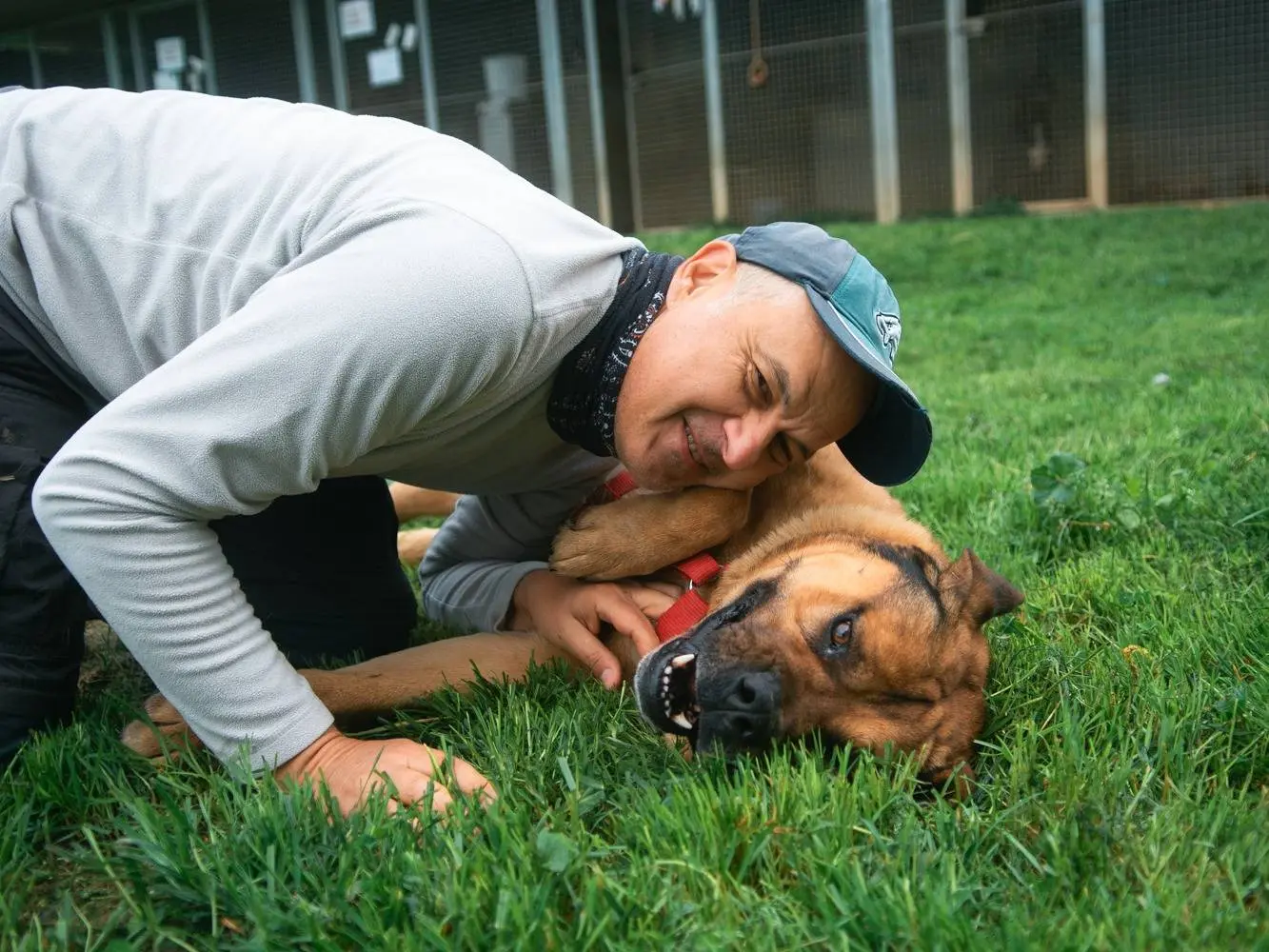 Vuoi adottare un cane a Bologna?