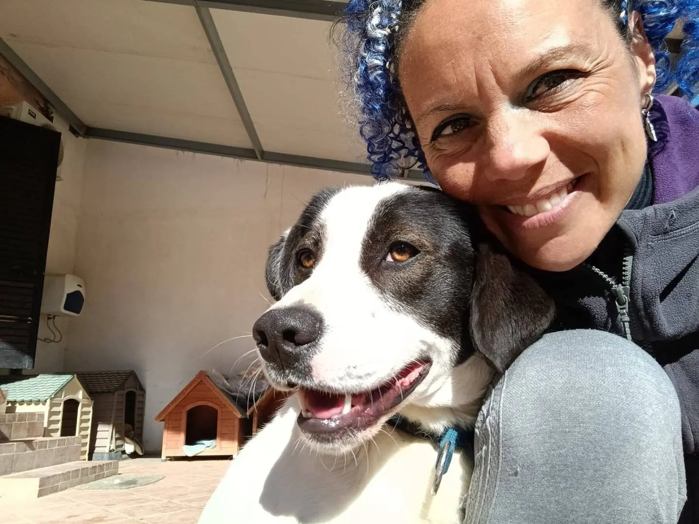 Adotta il cane Ginojump a Latina