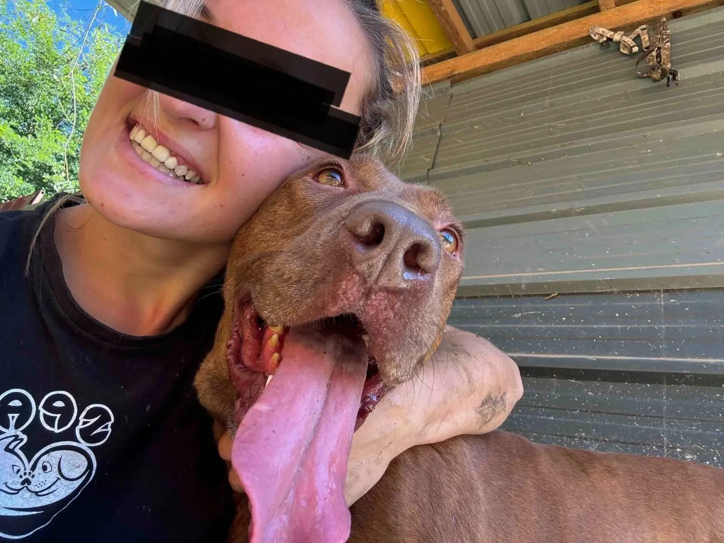 Adotta un cane, taglia grande, femmina, Firenze