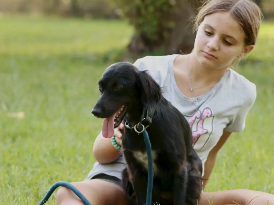 Adotta un cane, femmina, 2 anni e 6 mesi, Milano