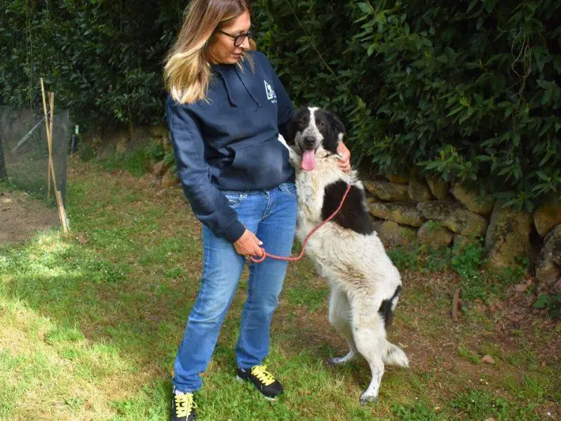 Foto 3 dell'animale