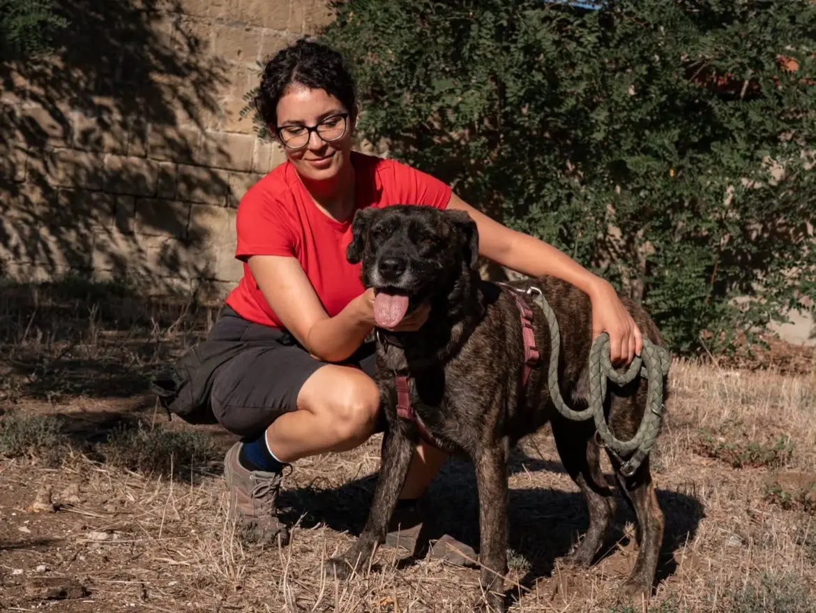 Adozione cane, femmina, Razza sconosciuta Razza sconosciuta, 2 anni e 4 mesi, taglia media, Caserta