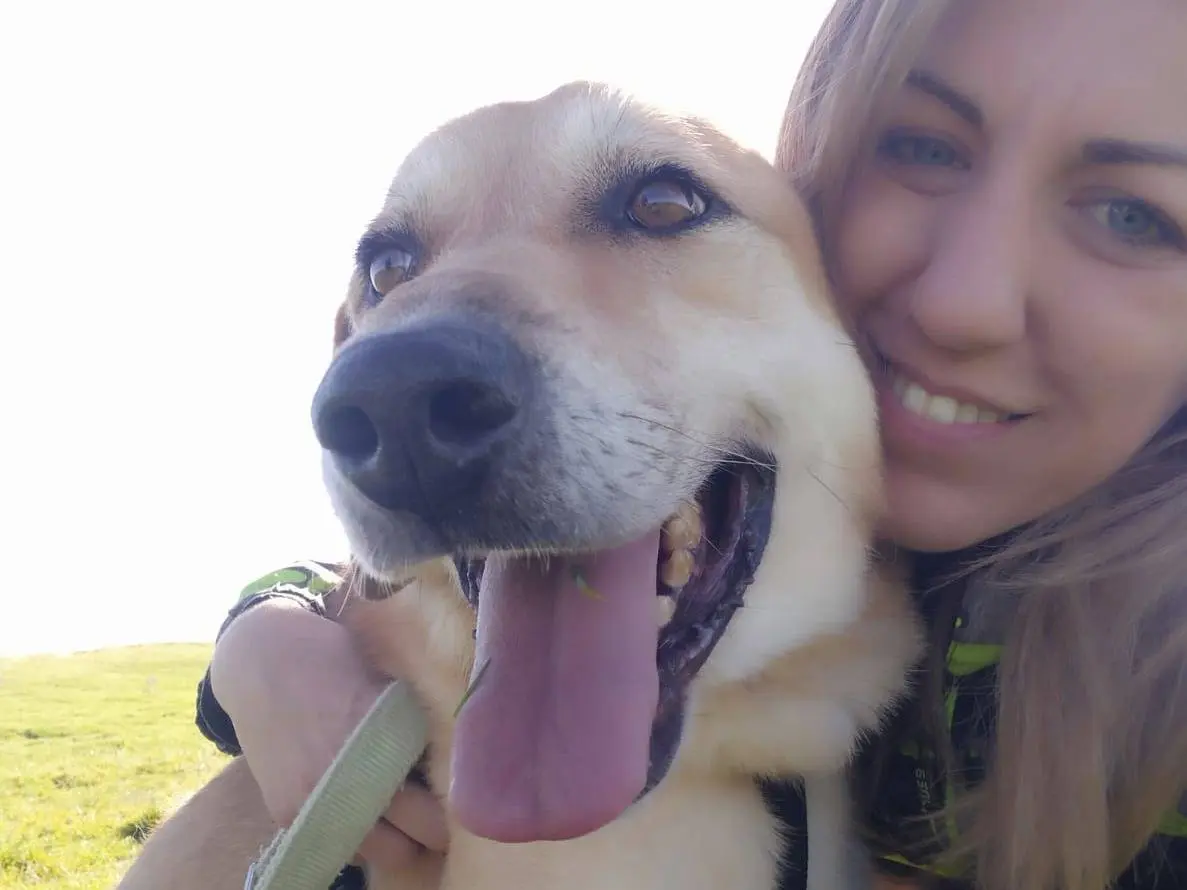 Vuoi adottare un cane a Caserta?