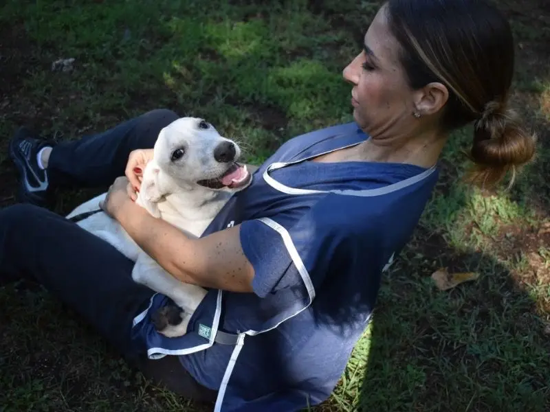 Adotta un cane, taglia media, maschio, Roma
