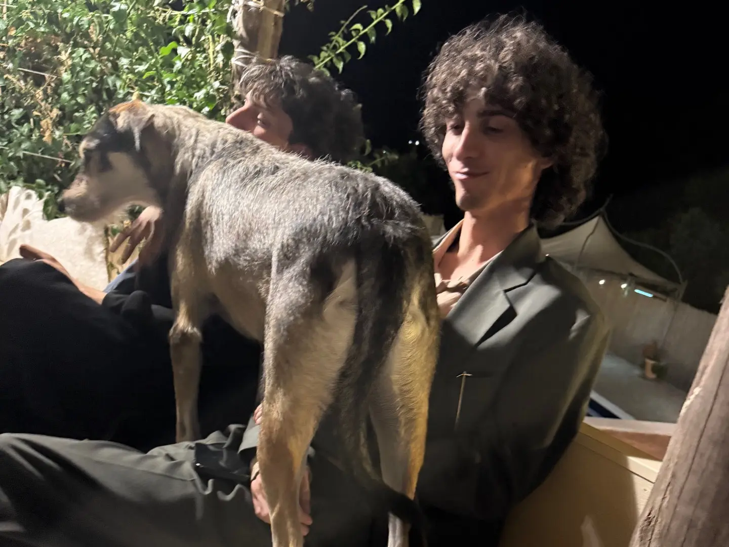 Adotta il cane Cantinella a Latina