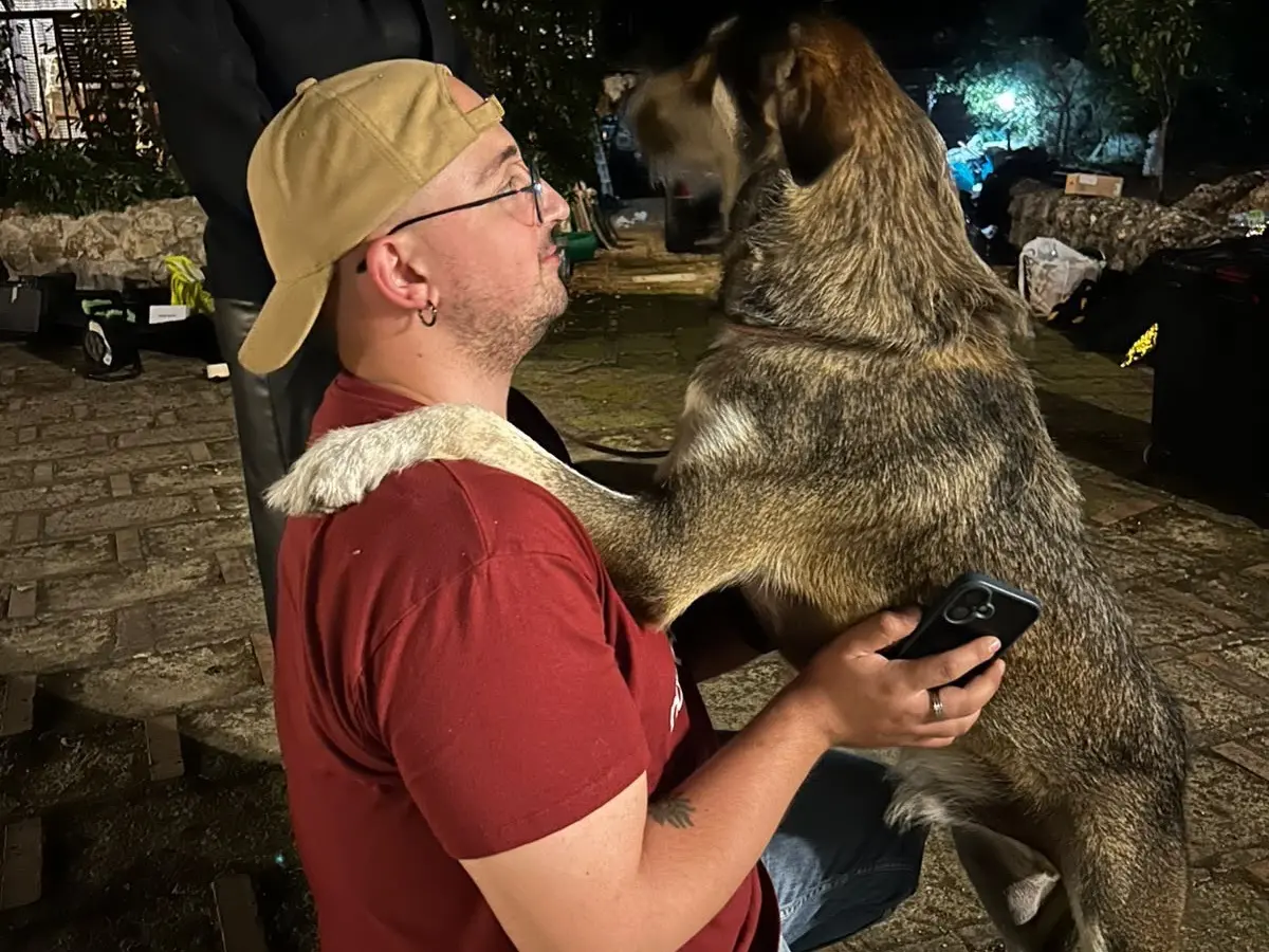 Adotta un cane, taglia media, maschio, Latina