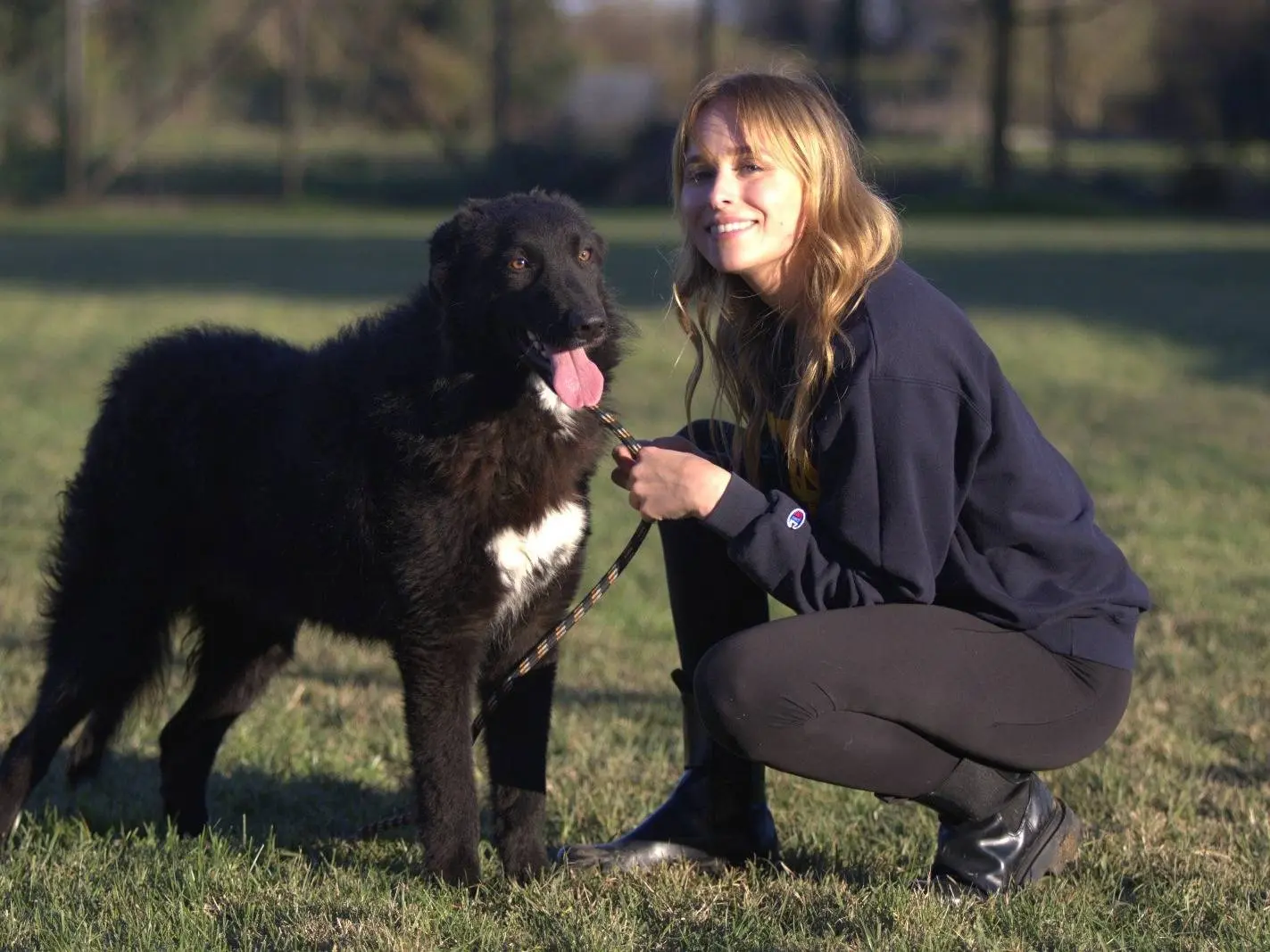 Adotta un cane, maschio, 1 anno e 7 mesi, Milano