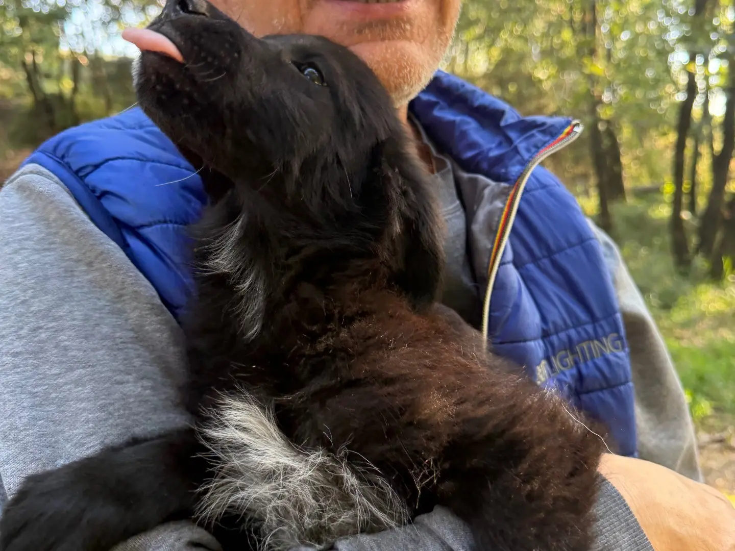 Adotta un cane, femmina, 3 mesi, Catanzaro