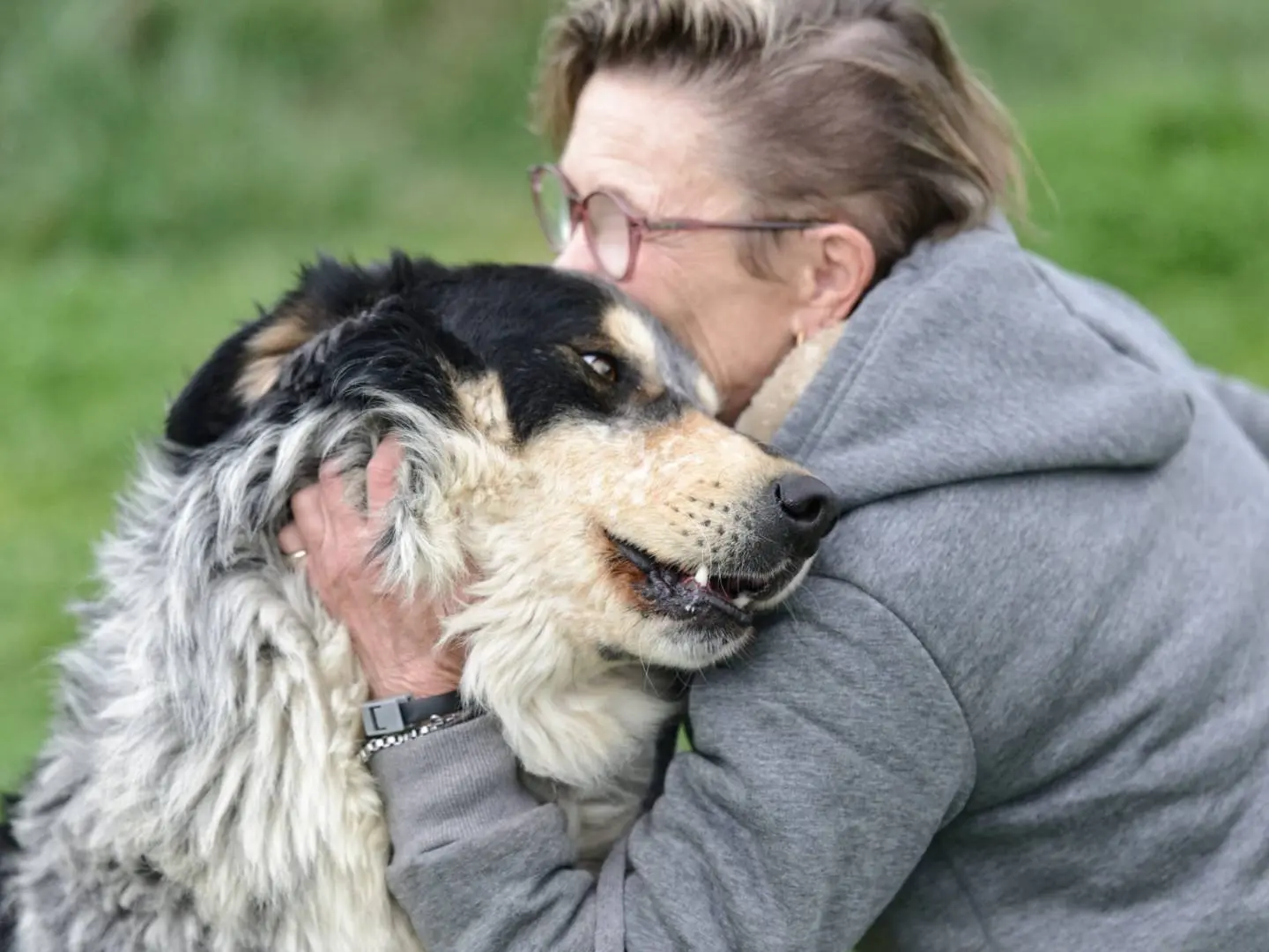 Adotta un cane, maschio, 4 anni e 4 mesi, Roma