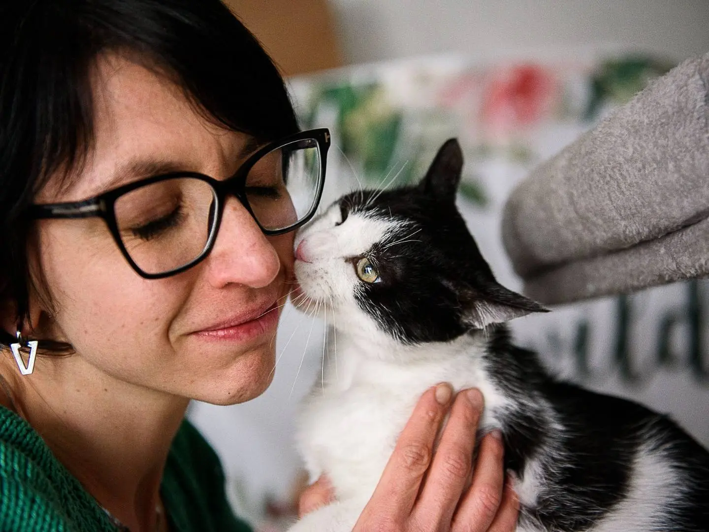 Adotta un gatto, taglia non valida, maschio, Genova