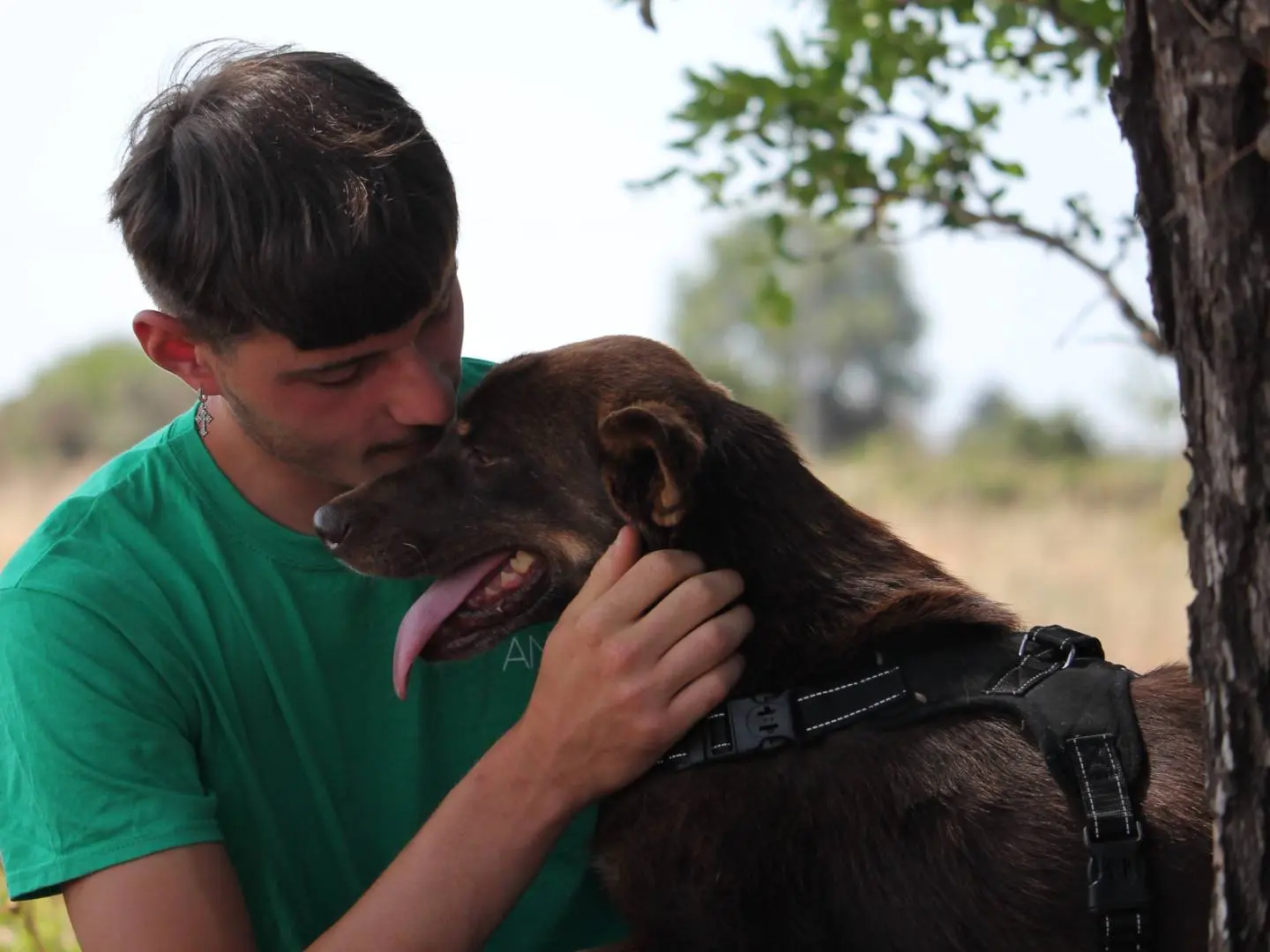 Vuoi adottare un cane a Lecce?