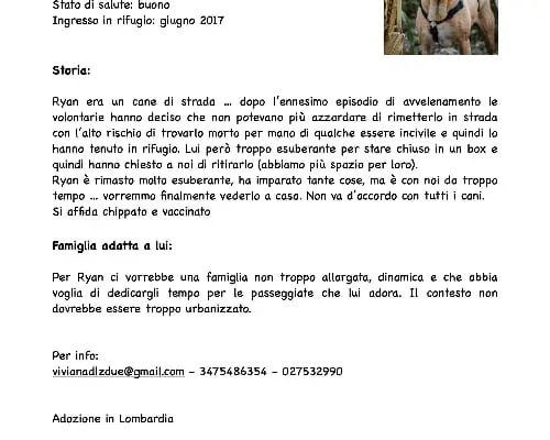 Foto 3 dell'animale