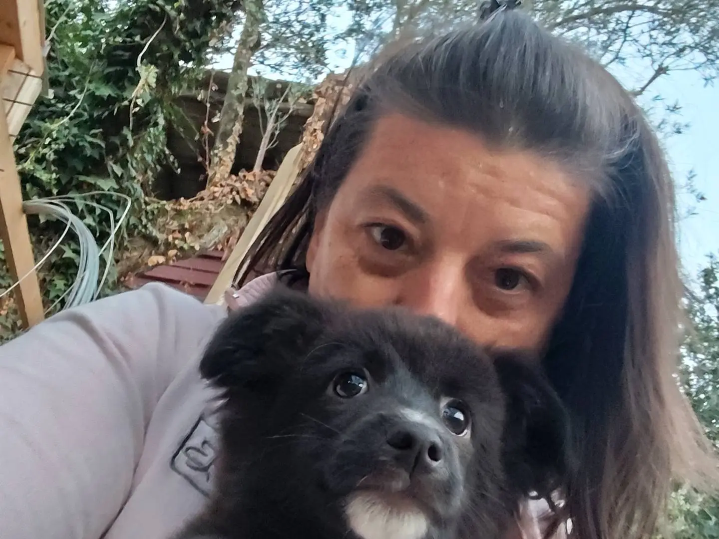 Adotta un cane, maschio, 2 mesi, Catanzaro