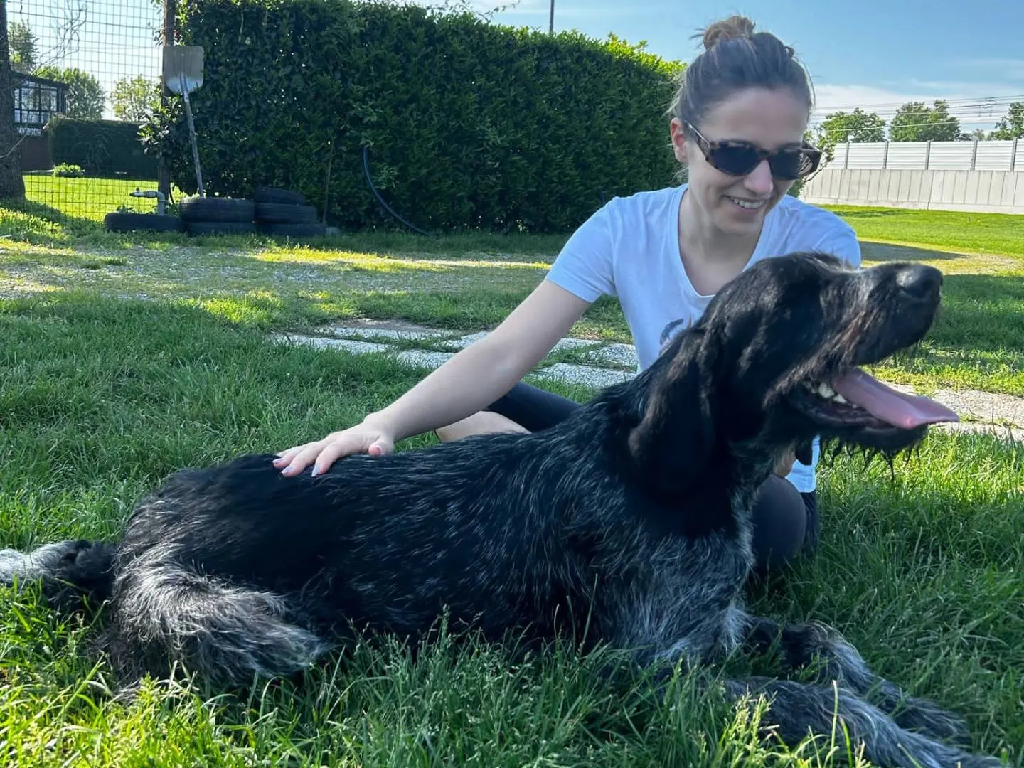 Vuoi adottare un cane a Milano?