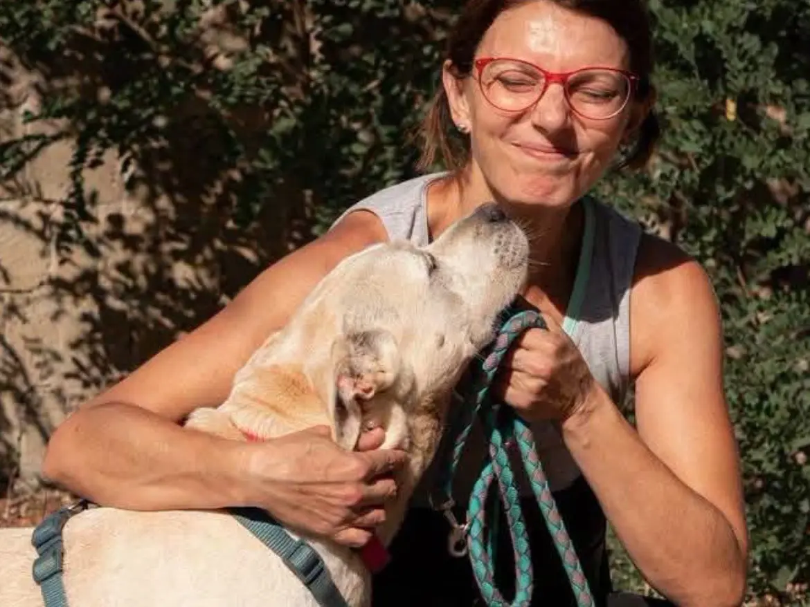 Adotta un cane, maschio, 8 anni e 11 mesi, Caserta