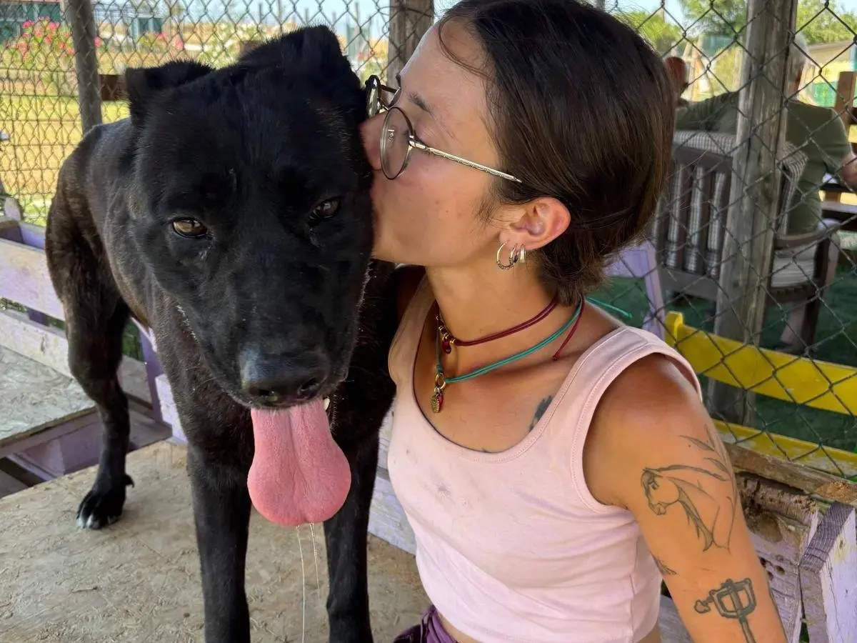 Adotta un cane, taglia grande, femmina, Pisa