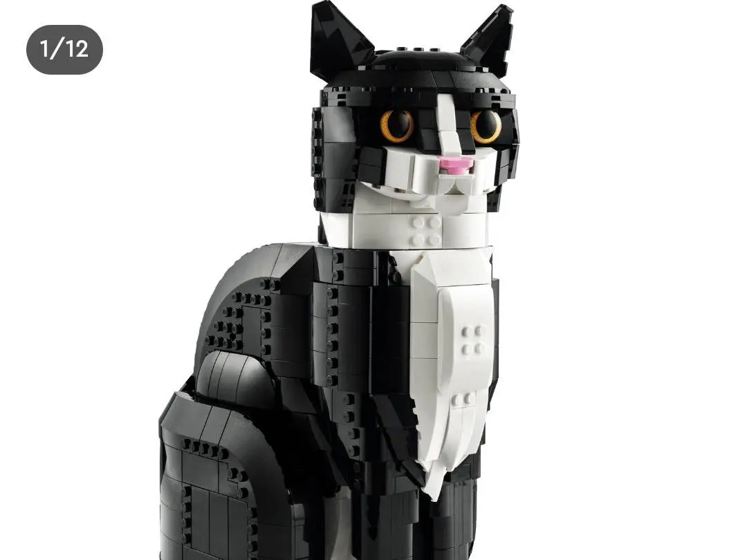 Adotta il gatto Nezuko originale cat Lego a Bologna