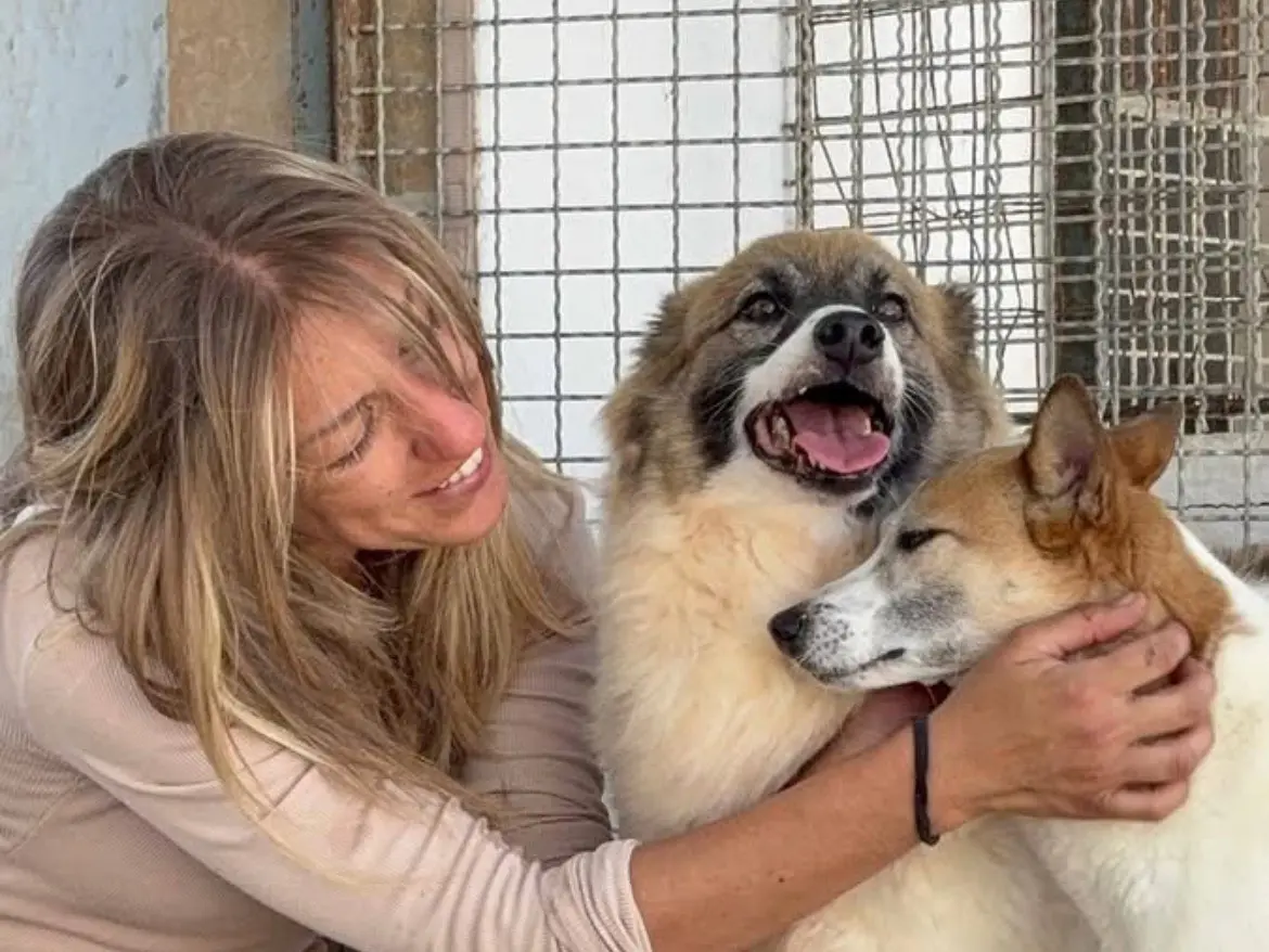 Adotta il cane Sienna a Caserta