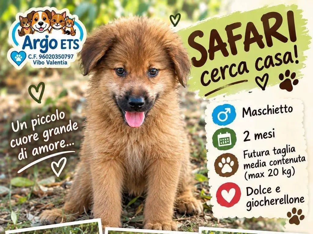 Foto 1 dell'animale