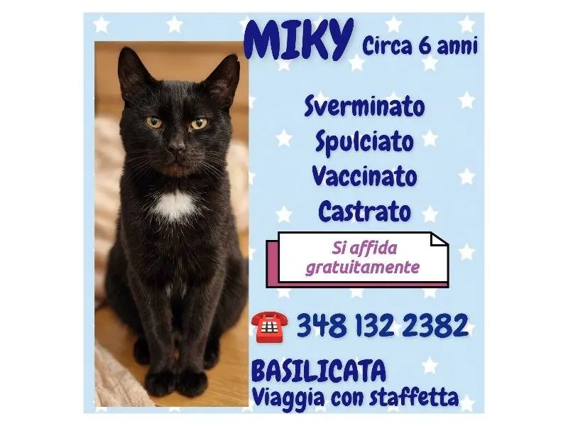 Foto 3 dell'animale