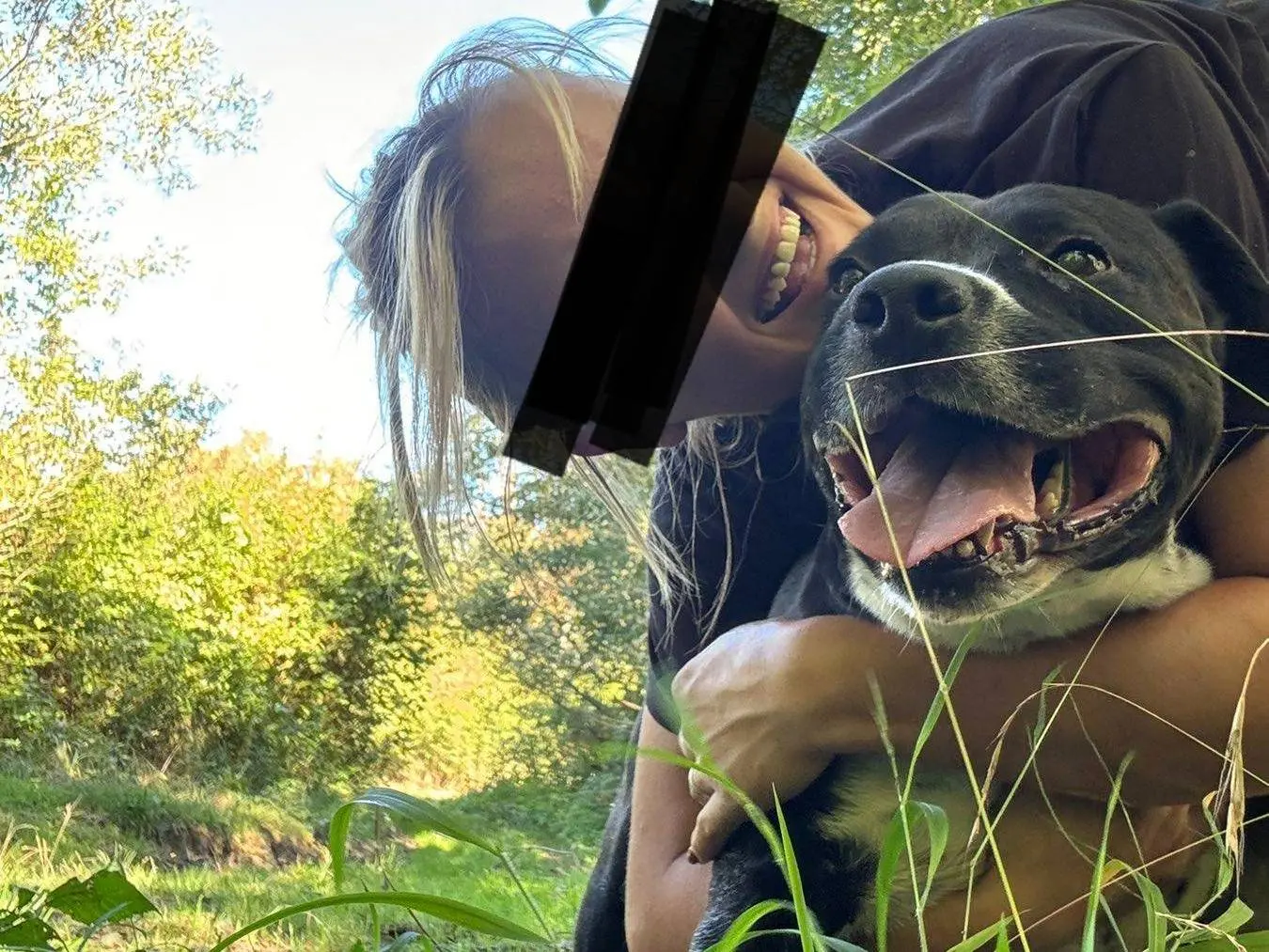 Adotta il cane ROSA a Firenze