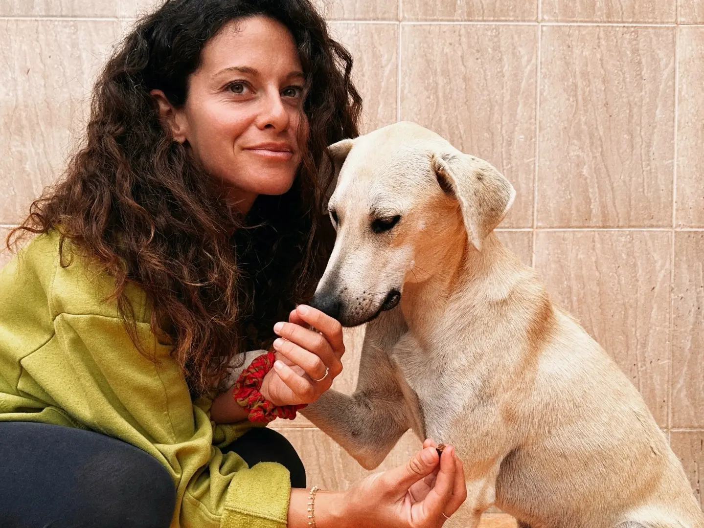 Adotta un cane, taglia media, maschio, Terni