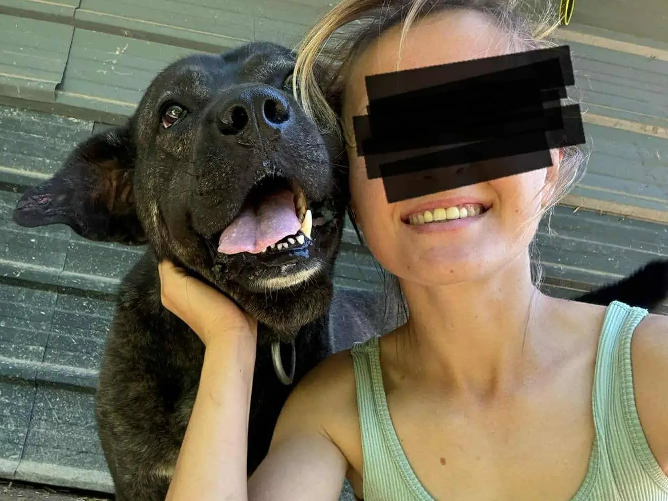 Adotta un cane, maschio, 5 anni e 6 mesi, Firenze