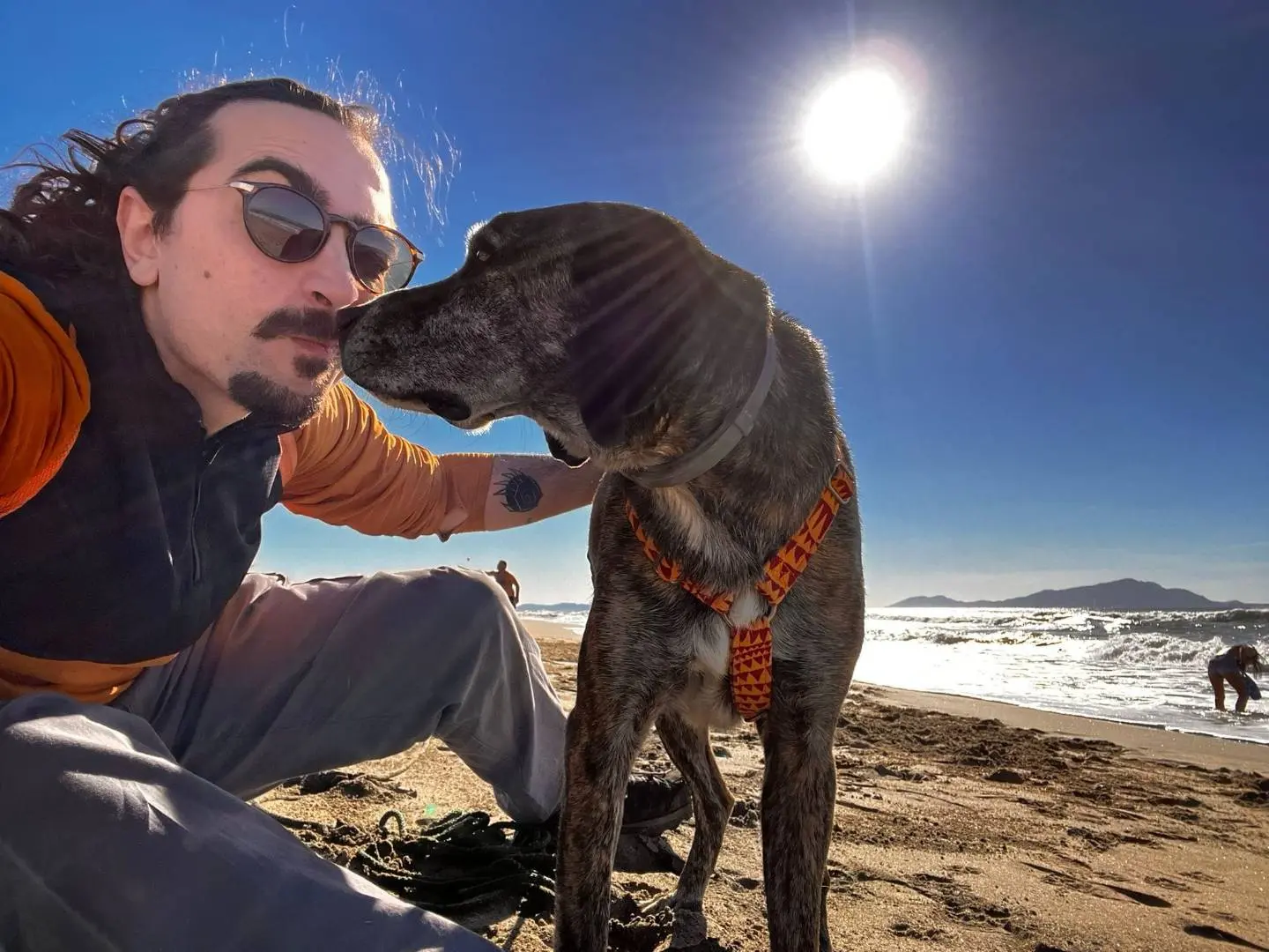 Vuoi adottare un cane a Caserta?