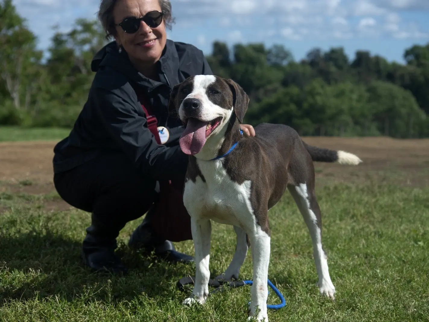 Adotta un cane, maschio, 6 anni e 9 mesi, Roma