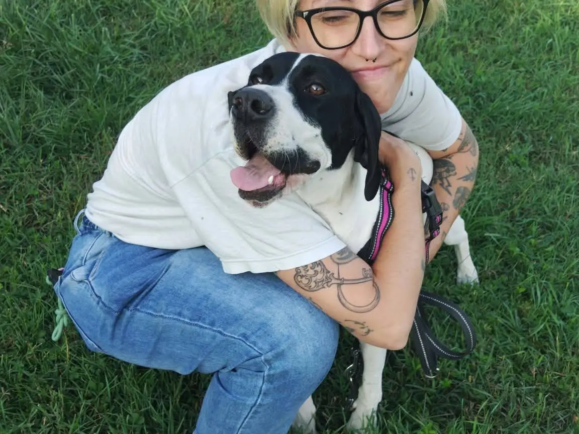 Adotta un cane, femmina, 1 anno e 7 mesi, Monza