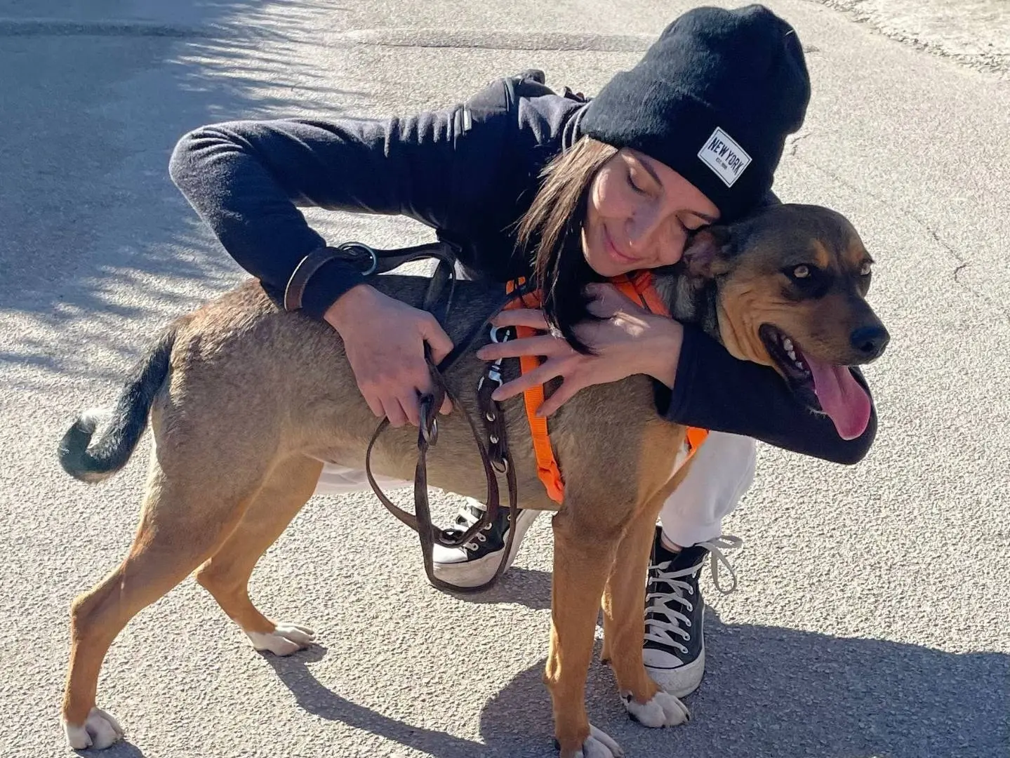 Adotta il cane Mora a Caserta