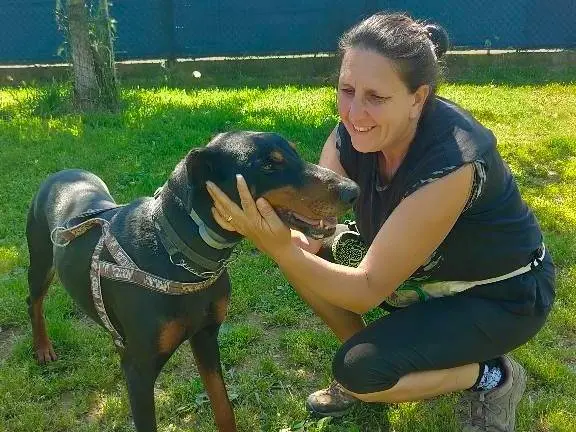 Adotta un cane, maschio, 6 anni e 9 mesi, Genova