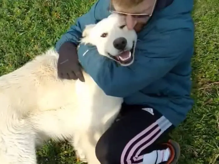 Adotta un cane, femmina, 2 anni e 5 mesi, Potenza