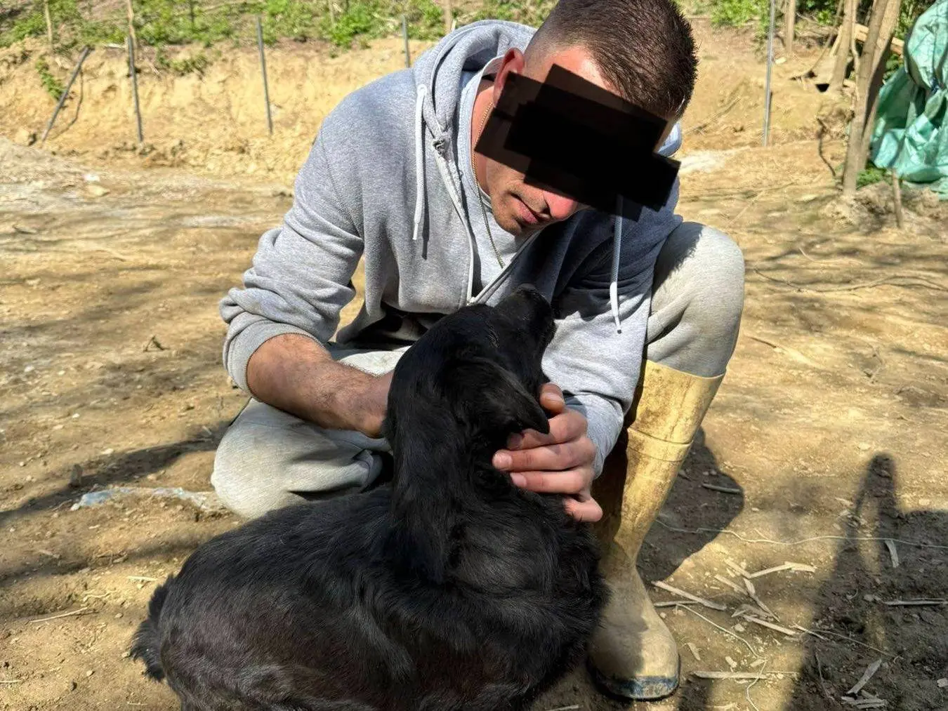 Adotta un cane, femmina, 3 anni e 2 mesi, Firenze