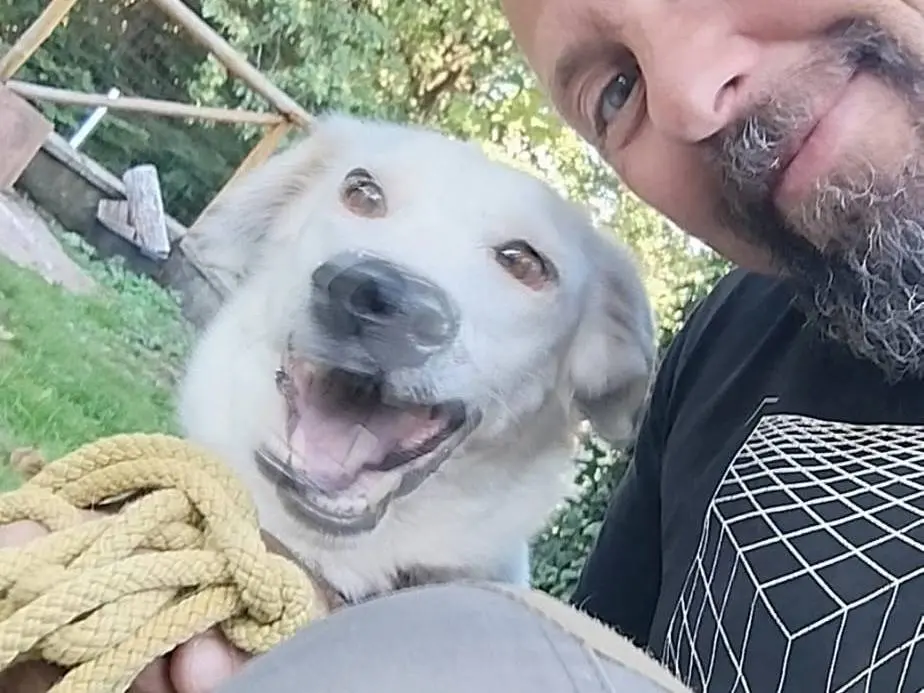 Adozione cane, femmina, Razza sconosciuta Razza sconosciuta, 3 anni e 3 mesi, taglia media contenuta, Pistoia