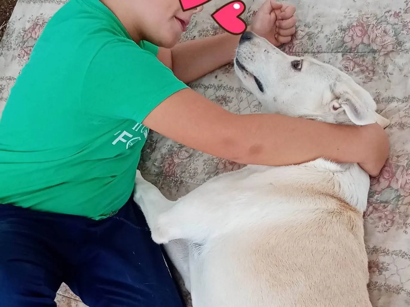 Adotta un cane, femmina, 13 anni e 5 mesi, Pavia