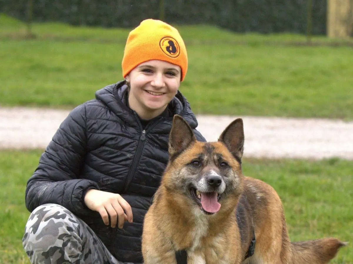 Adotta un cane, taglia media, femmina, Milano
