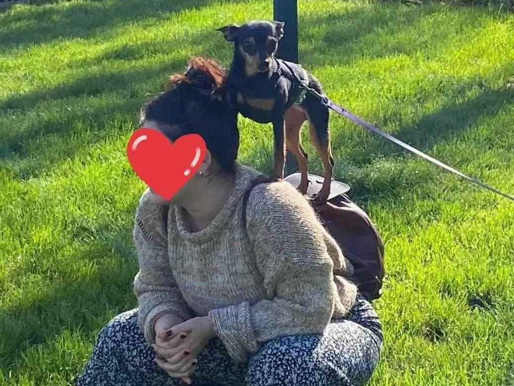 Vuoi adottare un cane a Firenze?