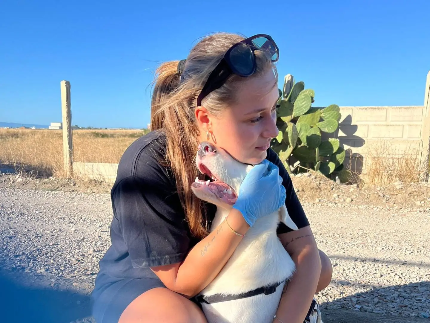 Adotta il cane Chuck a Barletta