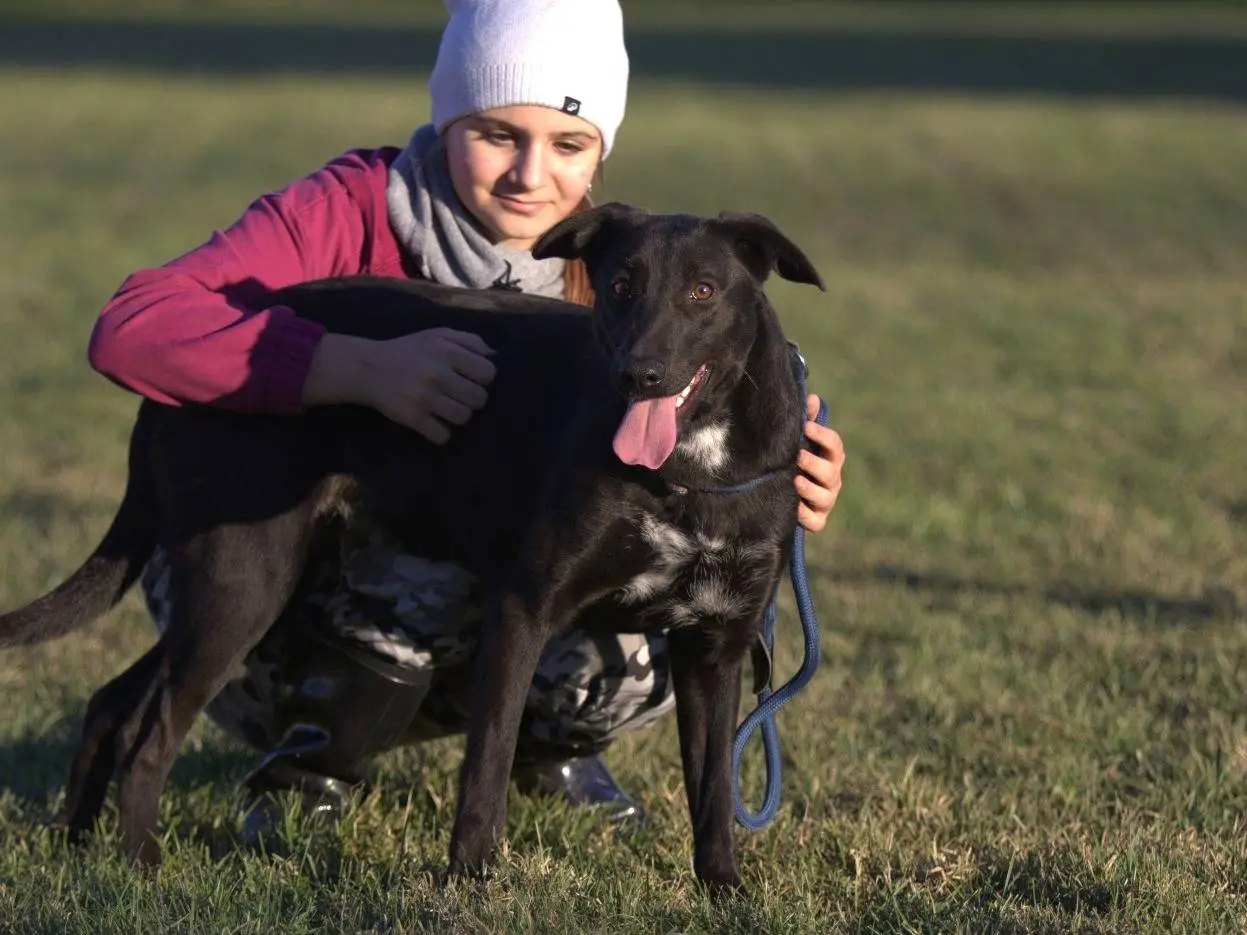 Vuoi adottare un cane a Milano?