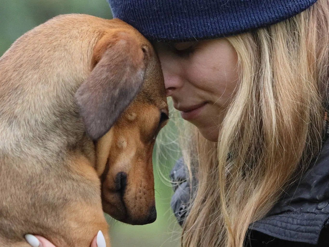 Adotta un cane, taglia media contenuta, femmina, Milano