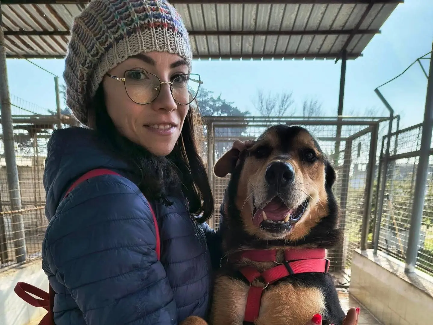 Vuoi adottare un cane a Caserta?