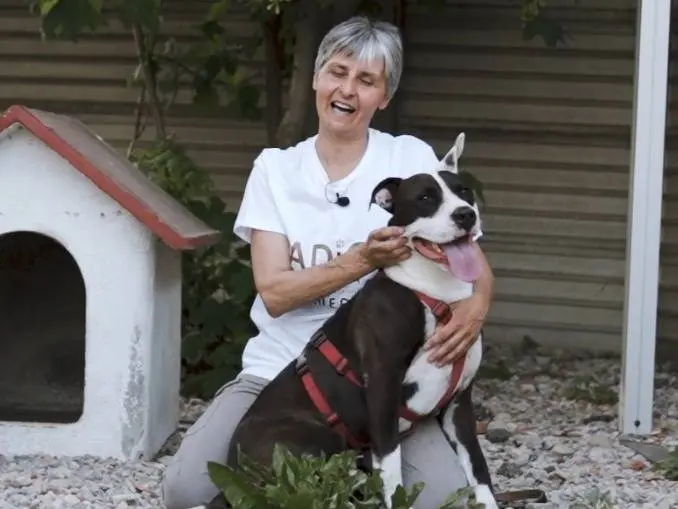 Vuoi adottare un cane a Lodi?