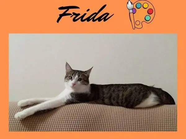 Foto 3 dell'animale
