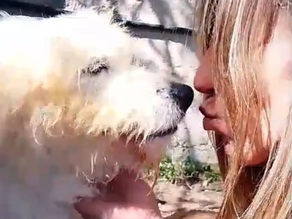 Adotta un cane, femmina, 5 anni e 3 mesi, Caserta
